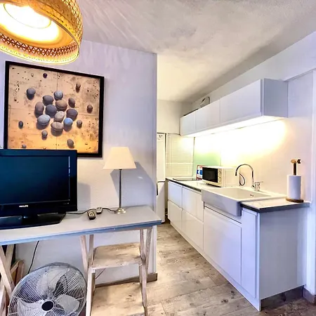 2 Pieces Pres Des Plages, Animaux Admis - Fr-1-338-568 Appartement *