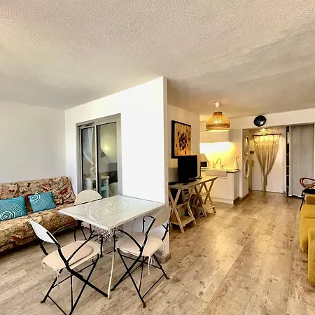 2 Pieces Pres Des Plages, Animaux Admis - Fr-1-338-568 Appartement Sète