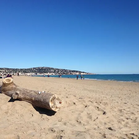 2 Pièces Près Des Plages, Animaux Admis - Fr-1-338-568 *