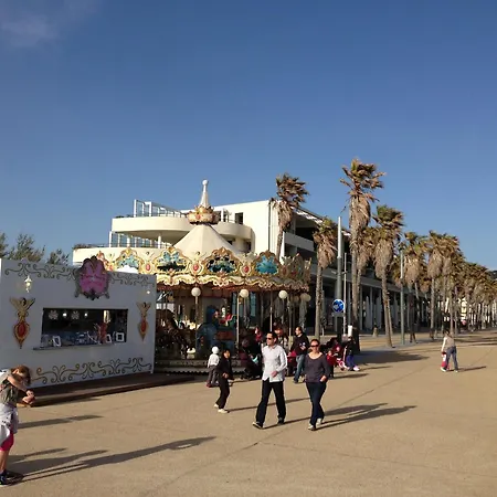 2 Pièces Près Des Plages, Animaux Admis - Fr-1-338-568 *